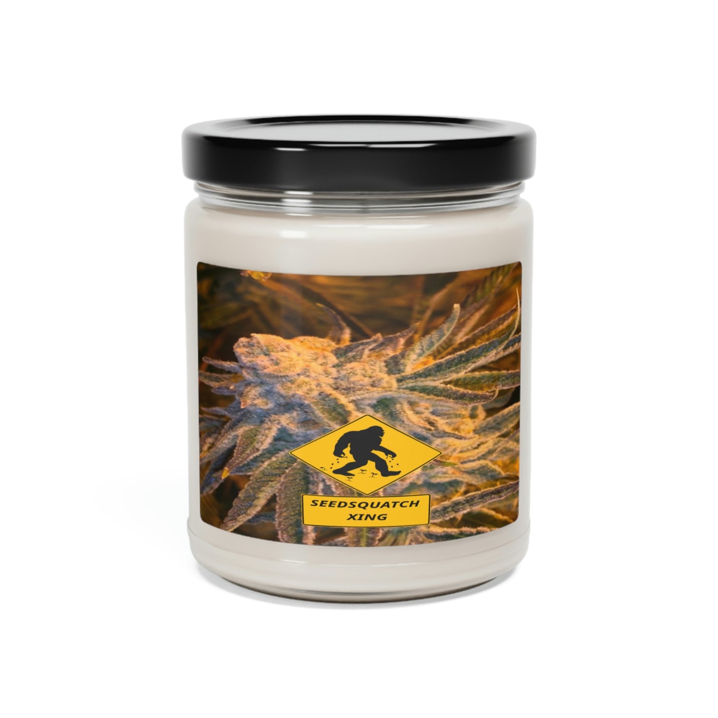 Seedsquatch XING Scented Soy Candle, 9oz