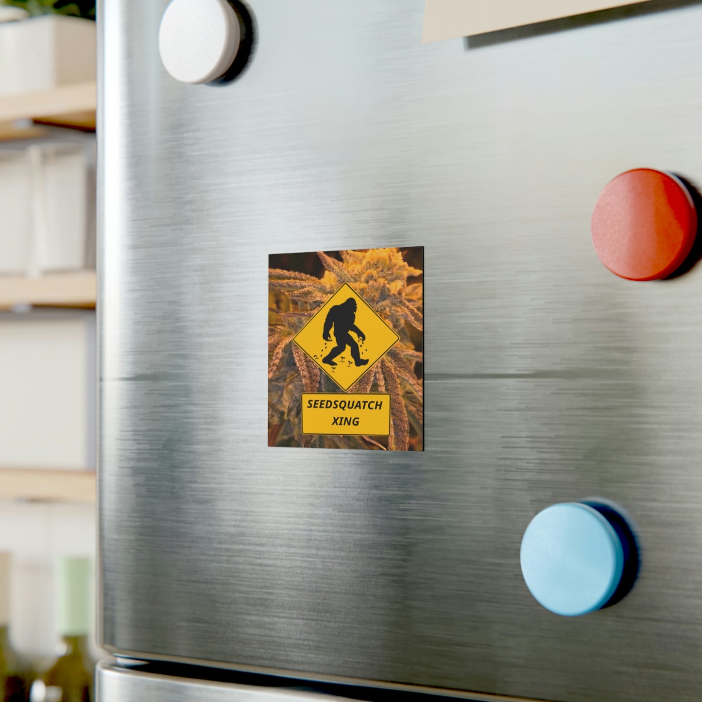 Seedsquatch Xing Square Magnet