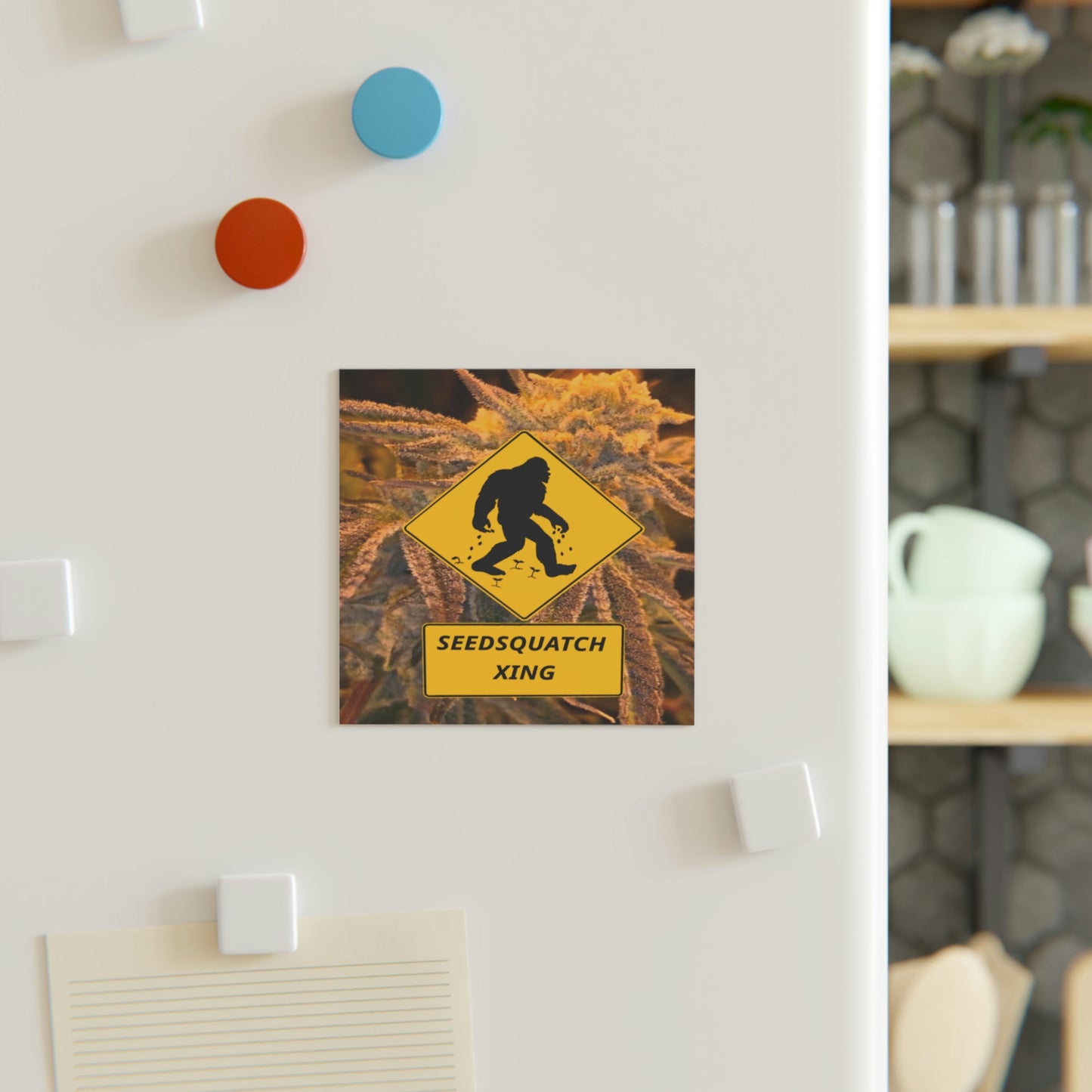 Seedsquatch Xing Square Magnet