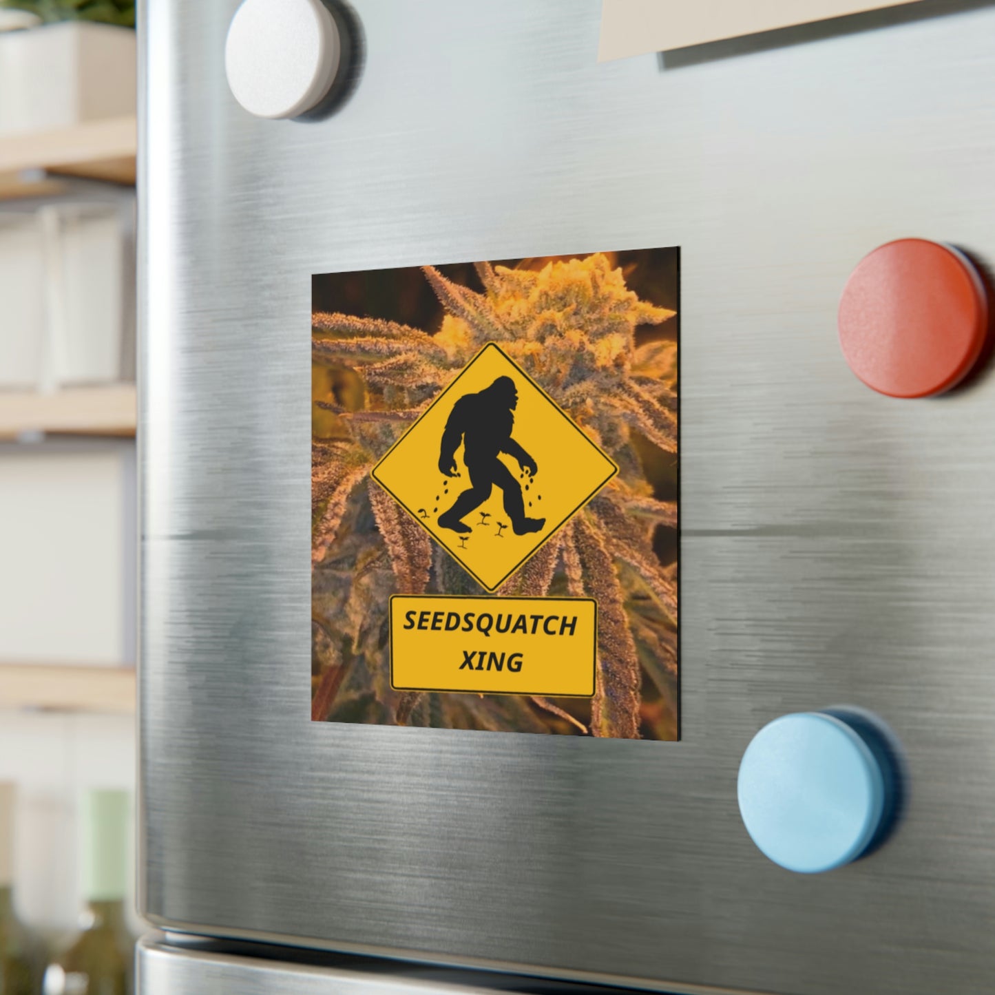 Seedsquatch Xing Square Magnet